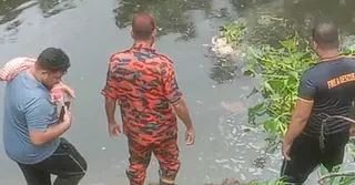 কুষ্টিয়ায় ২২ দিনের শিশুকে হত্যা, মাসহ গ্রেপ্তার ৪